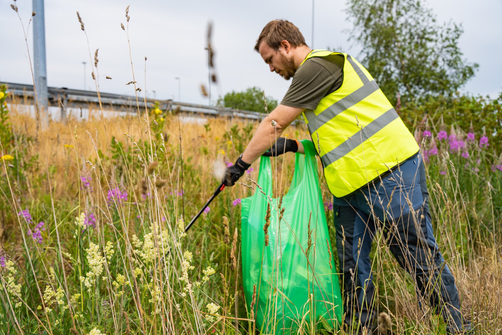 5 Tools to Make Litter Cleanup a Breeze